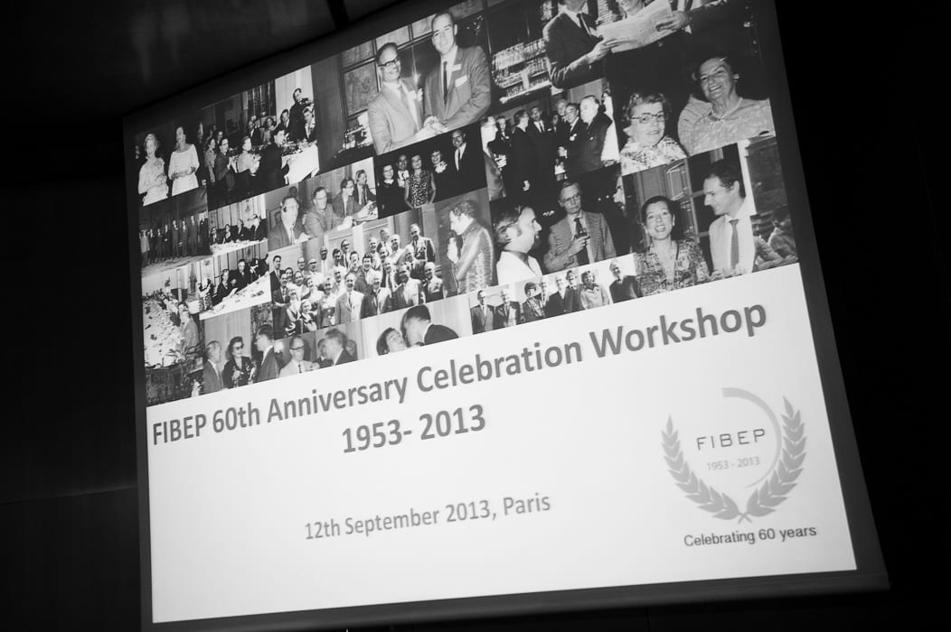prezentace FIBEP 60th Anniversary Workshop