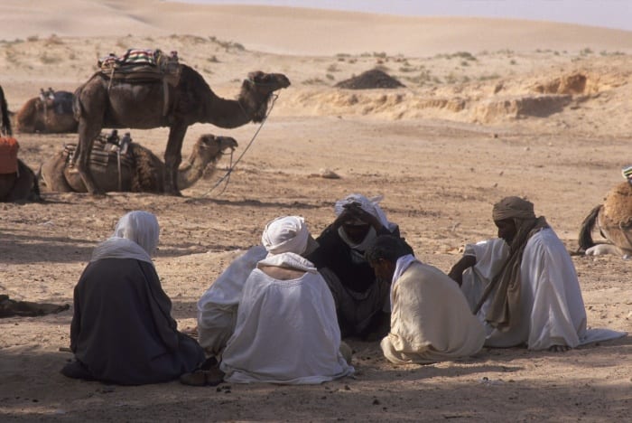 nomádi a velbloudi v poušti
